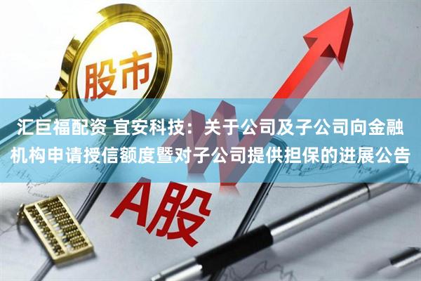 汇巨福配资 宜安科技：关于公司及子公司向金融机构申请授信额度暨对子公司提供担保的进展公告